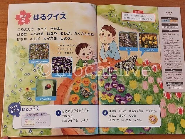 Z会幼児コース『ぺあぜっと』が秀逸すぎる！幼児期に伸ばす3つの力 